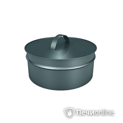 Заглушки Теплов и Сухов Заглушка ревизии Термо-Р 304 0.5 D300(200) в Верхней Салде