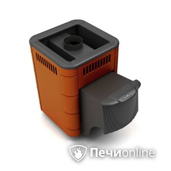 Дровяная банная печь TMF Оса Carbon терракота дверь антрацит в Верхней Салде