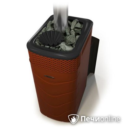 Дровяная банная печь TMF Гейзер XXL 2017 Inox Витра закрытая каменка терракота в Верхней Салде